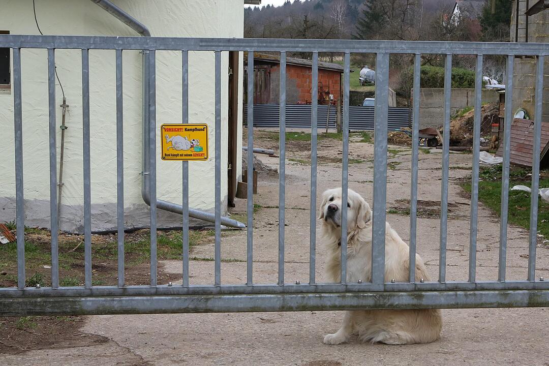 SoS Oberfellendorf im Lkr. Forchheim; Foto: Barbara Herbst