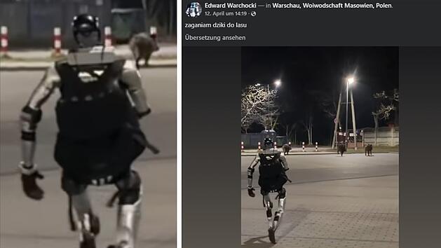Ein Roboter jagt Wildschweine mitten in Warschau