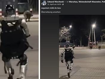 Ein Roboter jagt Wildschweine mitten in Warschau