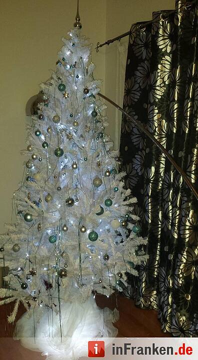 Weihnachten in Franken: Die Christbäume unserer Leser