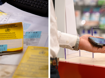 300 gef&auml;lschte Impfp&auml;sse im Gro&szlig;raum N&uuml;rnberg - Apothekerin ertappt Betr&uuml;ger auf frischer Tat