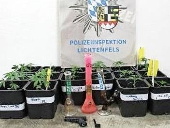 In einem Anwesen in Schney entdeckte die Polizei diese Aufzuchtstation f&uuml;r Cannabis.