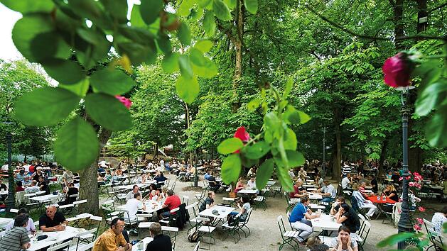 Bierkeller in Bamberg und Umgebung: Der Wilde Rose-Keller