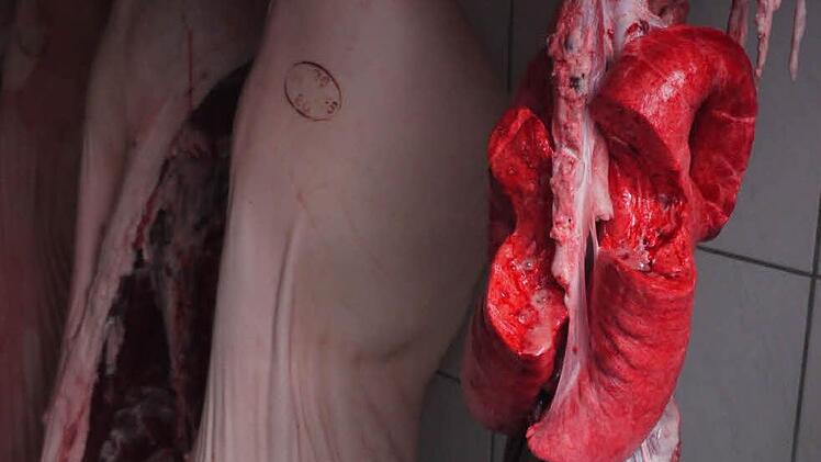 Fotos: Pauline Lindner/Verena Müller