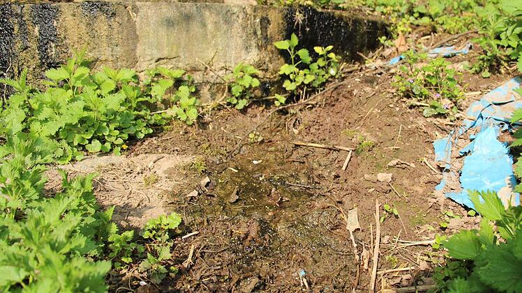 Jahrzehntealter Hausmüll quillt aus der Böschung der stillgelegten Deponie bei Lonnerstadt. Foto: Christian Bauriedel