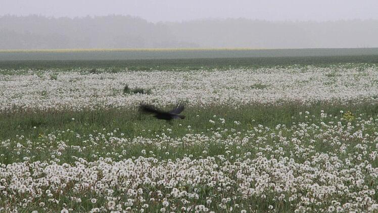 Die Ruhe hört man aus dem Bild heraus. Fotos: Michael Busch