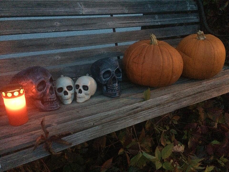 Leserbilder zu Halloween II