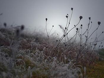 Foto: Britta Pedersen/dpa