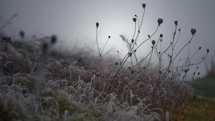 Foto: Britta Pedersen/dpa