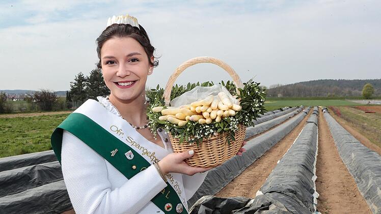 Bei der Eröffnung der Spargelsaison in HirschaidFoto: Matthias Hoch
