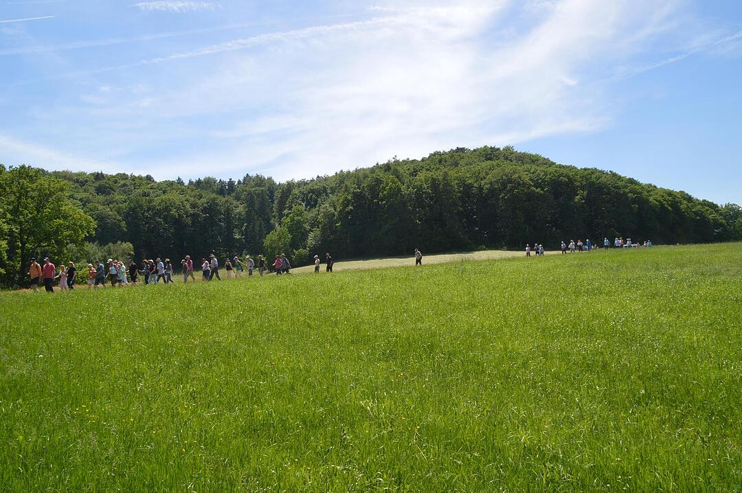 Landkreiswanderung 2017