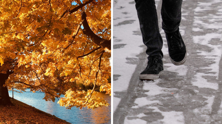 Bleibt der goldene Herbst, oder kommt der Winter?