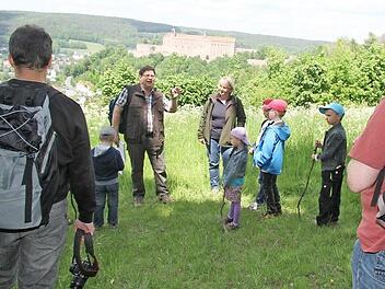 Vom Flugzeug lassen sich sich noch ringförmige Fundamente im Gras erahnen, klärte Erich Olbrich die zahlreichen Interessierten aus. Denn auf einer Wiese unterhalb des Rehbergpavillons waren angeblich die Stellungen im bundesständischen Krieg  Fotos: Sonny Adam