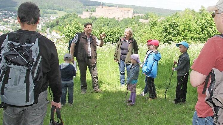 Vom Flugzeug lassen sich sich noch ringförmige Fundamente im Gras erahnen, klärte Erich Olbrich die zahlreichen Interessierten aus. Denn auf einer Wiese unterhalb des Rehbergpavillons waren angeblich die Stellungen im bundesständischen Krieg  Fotos: Sonny Adam