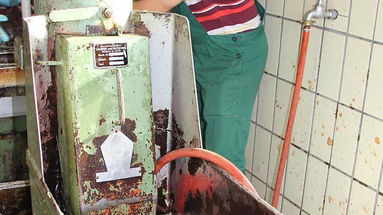 Jede Menge Äpfel werden ausgepresst.