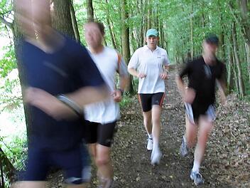 Diese Laufgruppe ist im Michelsberger Wald bei Bamberg unterwegs. Wollen Sie mit ihrer Gruppe verschiedene Strecken im Landkreis Kronach ausprobieren? Dann bewerben Sie sich als Laufgruppe für unsere "Aktivwochen". Foto: Michael Wehner