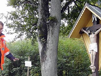 Spontan wurde am Kruzifix der alten B 85 eine Treppe angebracht, damit ein über 80-jähriger Rentner noch möglichst lange unfallfrei das Kreuz pflegen und schmücken kann. Seine Freude über diese Aktion wird dem Polier Joseph Baumann (Sepp) noch lange in Erinnerung bleiben. Fotos: Veronika Schadeck