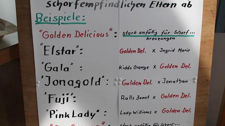 Mit dem großen Warn-Plakat wollte Günter Reif eine Lanze für die heimischen Äpfel brechen - Marktsorten sind für den Anbau ohne Chemie gar nicht geeignet.