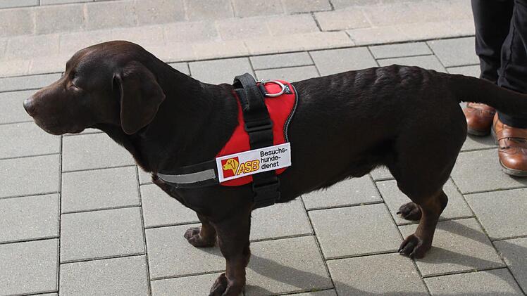 Joy begrüßte den hohen Gast. Foto: Carmen Schwind