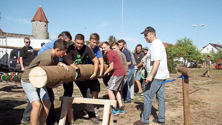 Mit vereinten Kräften bewegten die Ortsburschen den Baum. Foto: Sänger