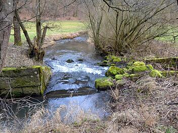 Geht es nach einigen Rhönklub-Mitgliedern, soll das ehemalige Stauwehr an der Aschach bald renoviert werden. In der Nähe zu einer Sitzgruppe am Rad- und Wanderweg sei die Mauer "ein Kulturdenkmal, mit dem unsere Vorfahren den Futterertrag in der Landwirtschaft steigerten", argumentieren sie. Fotos: Peter Rauch
