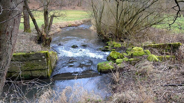Geht es nach einigen Rhönklub-Mitgliedern, soll das ehemalige Stauwehr an der Aschach bald renoviert werden. In der Nähe zu einer Sitzgruppe am Rad- und Wanderweg sei die Mauer "ein Kulturdenkmal, mit dem unsere Vorfahren den Futterertrag in der Landwirtschaft steigerten", argumentieren sie. Fotos: Peter Rauch