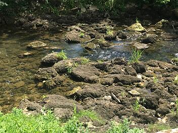 Ein Wiesent-Arm bei Ebermannstadt hat fast keinen Wasserzulauf mehr. Foto: Carmen Schwind