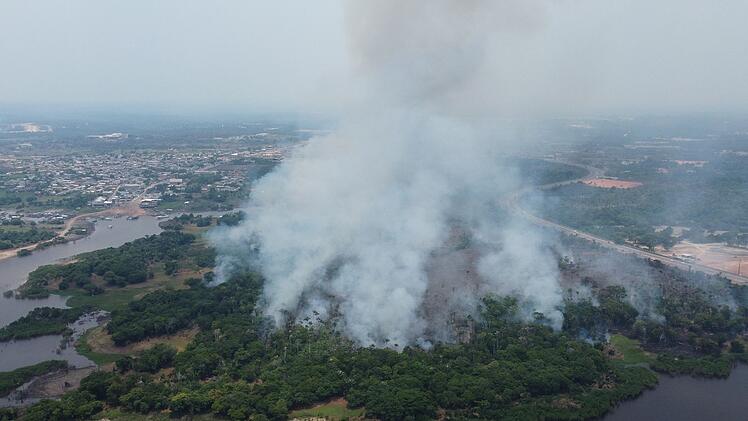 Waldbr&auml;nde in Brasilien