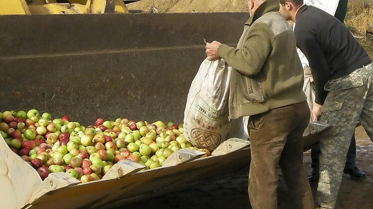 Vom H&auml;nger geht es in die Baggerschaufel und anschlie&szlig;end in einen gro&szlig;en Sammelcontainer.
