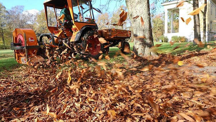 In Bamberg fallen derzeit haufenweise Blätter von den Bäumen. Foto: Barbara Herbst