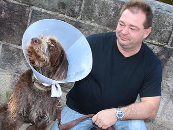 Das Schlimmste ist überstanden. Markus Schäfer holte seinen Hund Basko nach der Notoperation und dreitägigem Aufenthalt in einer Tierklinik wieder nach Hause. Matthias Einwag