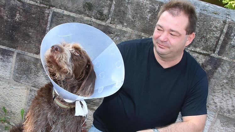 Das Schlimmste ist überstanden. Markus Schäfer holte seinen Hund Basko nach der Notoperation und dreitägigem Aufenthalt in einer Tierklinik wieder nach Hause. Matthias Einwag