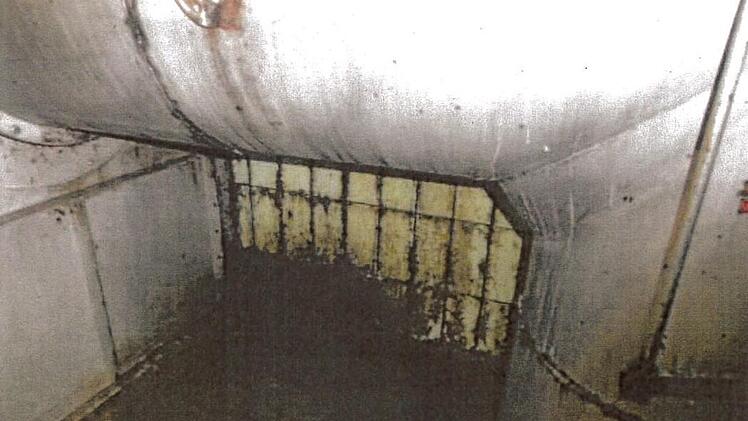 Stark schwarzaschimmelähnlich verunreinigte Decke, Wände und Türen sowie Einrichtungsgegenstände im Bereich  deer Luftzuführung für die Keimkästen Quelle: Foodwatch