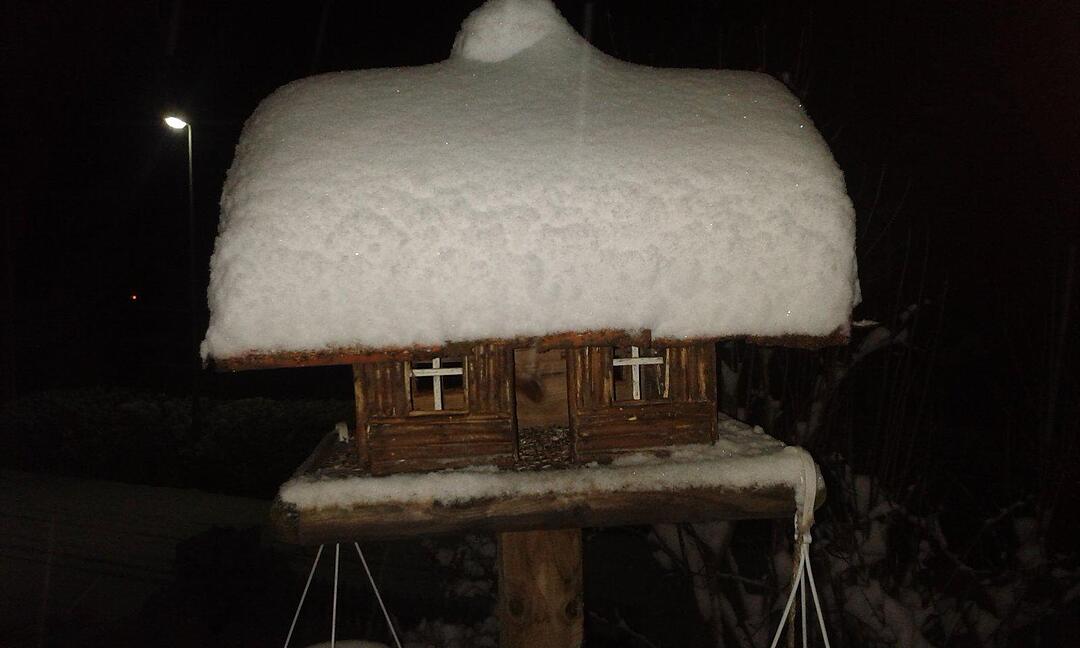 Schnee und Eis - Die schönsten Aufnahmen aus Franken