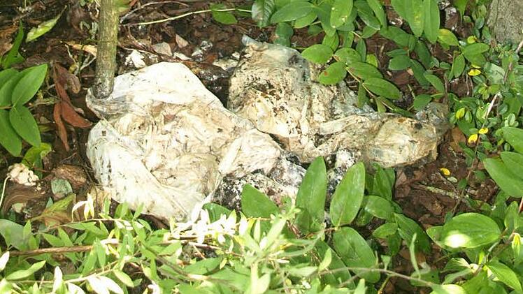 So sehen die illegal entsorgten Tüten mit verdorbenem Fleisch aus. Foto: Stefan Geiger