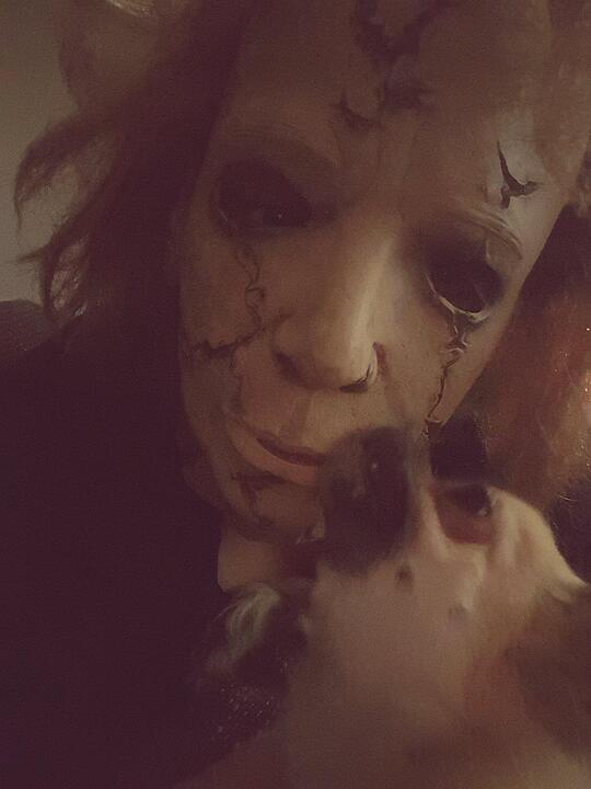 Die schönsten Halloweenfotos auf inFranken.de