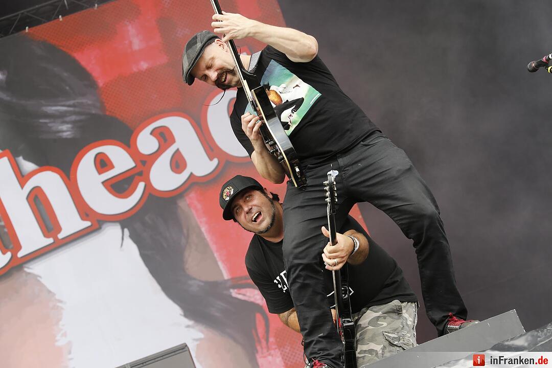 RIP15 - Zebrahead