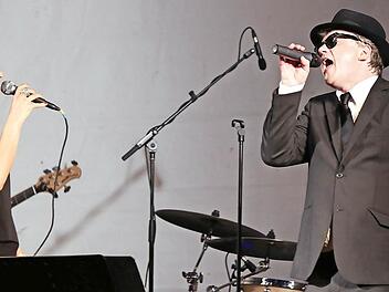 Die "Herzophonics" swingten auf der Bühne im Schlosshof.  Fotos: Andreas Brandl (2), Richard Sänger (1), Michael Busch (1)