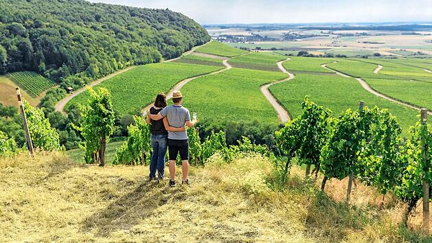 Panoramablick mit Frankenwein &ndash; was kann sch&ouml;ner sein?