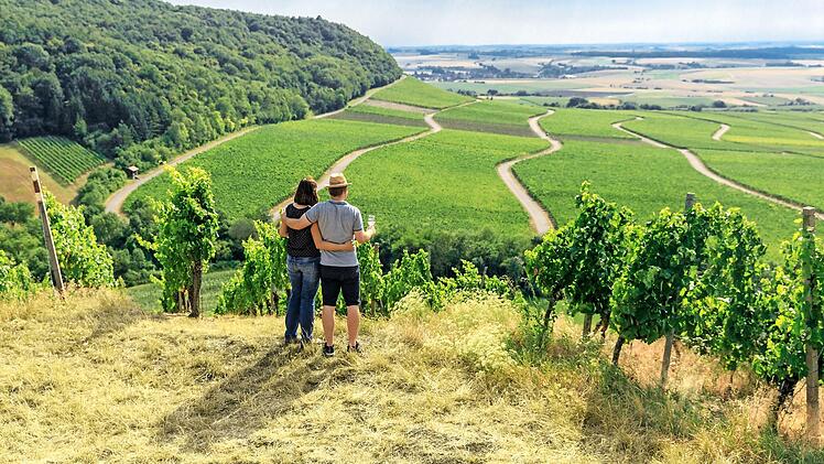 Panoramablick mit Frankenwein – was kann schöner sein?
