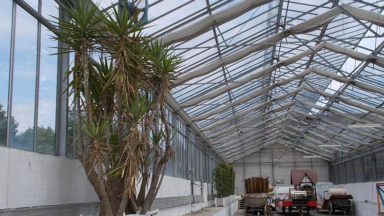 Blick in das alte Palmenhaus. Foto: Mäuser
