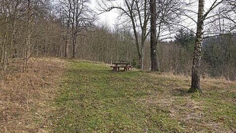 Eine Sitzgruppe, eine Informationstafel des Heimatforschers Richard Seuß, Wegweiser des Frankenwaldvereins und kleine Felsenkeller befinden sich heute an der Stelle, an der über 500 Jahre lang Menschen im entlegenen "Güldasta" lebten.