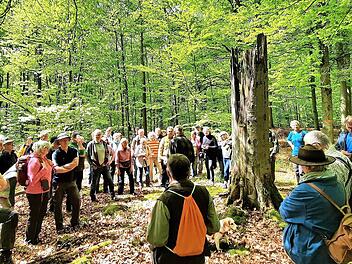 Waldbegehung zum Tag des Baumes: Hans Stark und Florian Tully bei der Information der zahlreichen Teilnehmer.