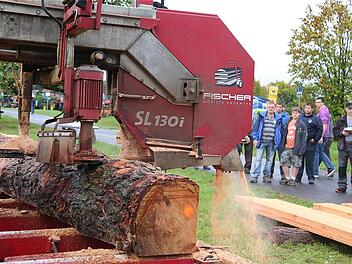 Die Besucher konnten zum Beispiel erleben, wie aus Baumstämmen exakt gesägte Holzbretter entstehen. Fotos: Gerd Schaar
