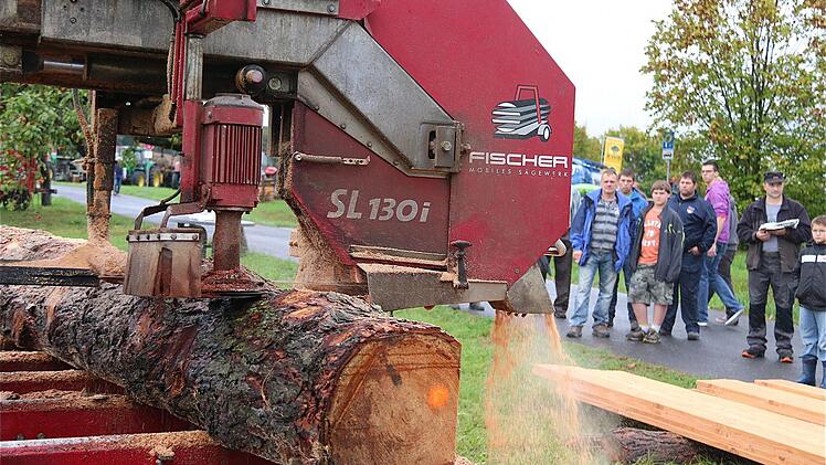 Die Besucher konnten zum Beispiel erleben, wie aus Baumstämmen exakt gesägte Holzbretter entstehen. Fotos: Gerd Schaar