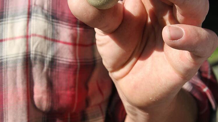 Die Pallino-Kugel, das "Schweinchen", ist aus Holz. Die großen Kugeln aus Metall müssen ihr so nah wie möglich kommen.