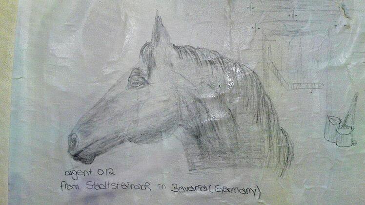 Agent 012 ist offenbar ein Pferdefreund.