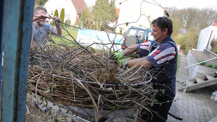 Stefan Essl beim Herrichten des Nestes. Foto: Stefan Reinmann