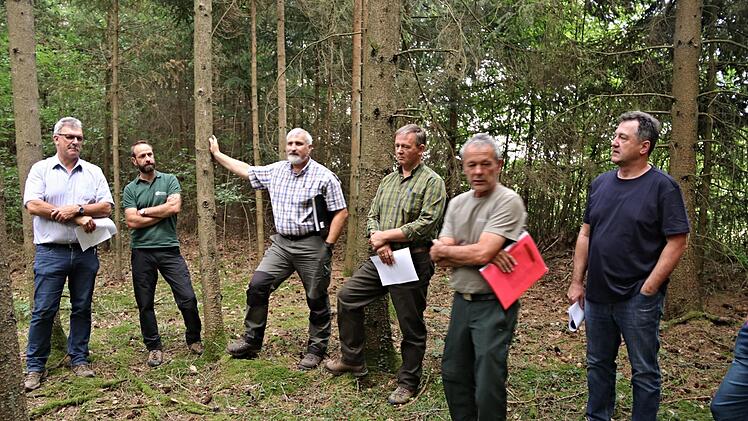 Auch wenn Forstoberrat Jürgen Hahn (3. von links) die Fichte stützt. Sie ist noch gesund und grün. Das Foto zeigt im neu erworbenen Fichtenbestand (von links): Bürgermeister Helmut Dietz, Sven Kaps, Bayerische Staatsforsten, Jagdpächter Uwe Beier, Wolfgang Gnannt und Gemeinderat Norbert Scheichenost. Foto: Helmut Will
