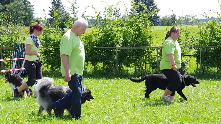 Tierheimfest in Kronach. Foto: Marco Meißner